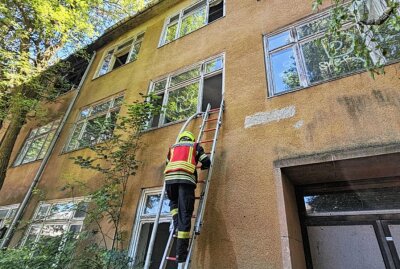 Update: Brand in Chemnitzer Industriegelände: Unbekannte setzen Sperrmüll in Brand - Am Montagnachmittag kam es zu einem Brand in Chemnitz. Foto: Harry Härtel