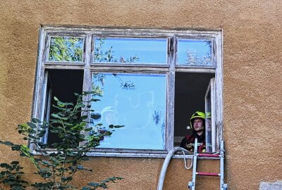 Update: Brand in Chemnitzer Industriegelände: Unbekannte setzen Sperrmüll in Brand - Am Montagnachmittag kam es zu einem Brand in Chemnitz. Foto: Harry Härtel