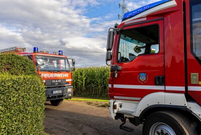 Update Laubenbrand in Freiberg: Helfer bei Löschversuchen verletzt - Bei dem Brand werden zwei Personen verletzt. Foto: Marcel Schlenkrich