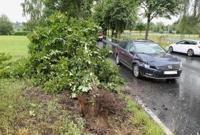 Update zum Crash auf der S179: Eine schwerverletzte Person - Unfall auf der S179 in Reichenberg. Foto: Roland Halkasch