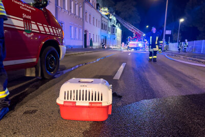 Update zum nächtlichen Großbrand in Kirchberg: Feuerwehren im Großeinsatz - Ein rasches Eingreifen verhindert Schlimmeres und rettet Haustiere.