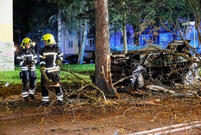 Update zur Verfolgungsjagd in Chemnitz: Audi prallt gegen Baum und klemmt Insassen ein - Eine Verfolgungsjagd der Polizei endete in einem schweren Unfall. Foto: Harry Härtel