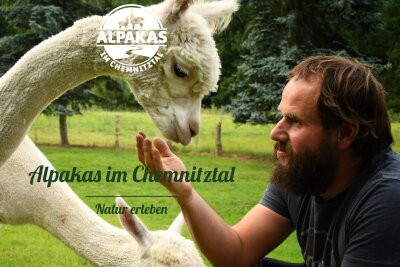 Urlaub auf dem Alpakahof bei Chemnitz: Tierisches Camping inmitten der Natur - Marco Schönherr hat mit seiner Familie am Chemnitztal einen Idylleort erschaffen und so einen Traum verwirklicht.