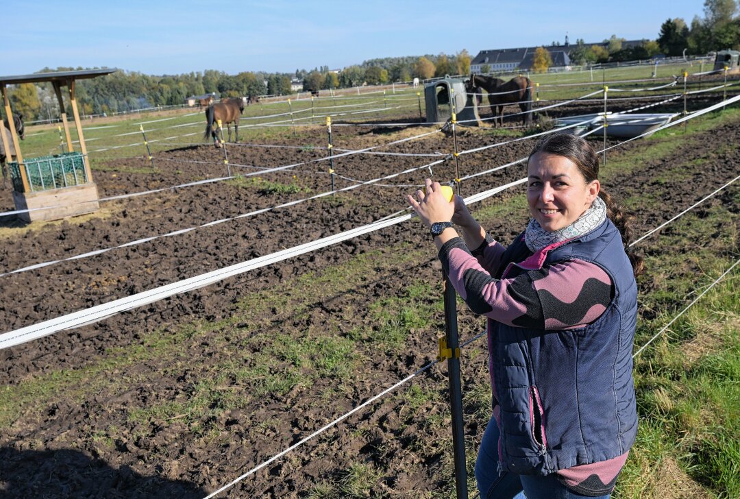 Verein im Erzgebirge startet Crowdfunding-Projekt mit ganz besonderem Ziel - Der Pferdesportverein Oelsnitz - im Bild die Vorsitzende Tanja Kretschmer - möchte eine Ganzjahres-Paddock-Anlage bauen, damit die Pferde bei Nässe nicht im Schlamm stehen. Foto: Ralf Wendland