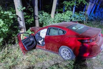 Verkehrsunfall in Freiberg: Fahrer verletzt sich schwer - Frontalzusammenstoß mit Baum: Fahrer schwer verletzt. Foto: Marcel Schlenkrich