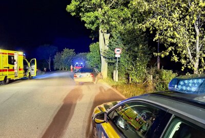 Verkehrsunfall in Zschorlau: 25-Jähriger nach Kollision mit Baum schwer verletzt - In Zschorlau kollidierte ein 25-Jähriger mit einem Baum. Foto: Daniel Unger