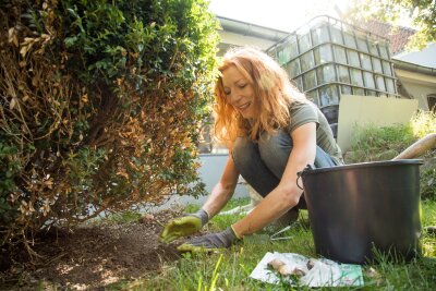 Verwildernde Zwiebeln verzaubern im Frühjahr den Garten - Frühblüher machen sich auch unter Hecken gut.