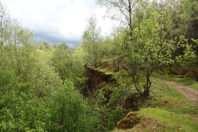 Vom Hochofen in die Natur: Auf dem Minett-Trail in Luxemburg - Urwüchsig: der Abschnitt zwischen Pétange und Fond-de-Gras.