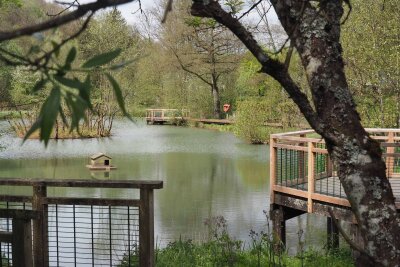 Vom Hochofen in die Natur: Auf dem Minett-Trail in Luxemburg - Auf der Etappe von Pétange nach Differdange: idyllischer Dorfweiher in Lasauvage.