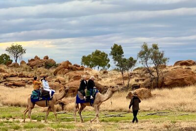 Vom Kamel zum Luxuszug: Wie "The Ghan" das Outback eroberte - Zwischenstopps in Alice Springs: Hier können "Ghan"Australien ist heute das Land mit der weltweit größten wilden Kamel-Population – mehr als eine Million Tiere.