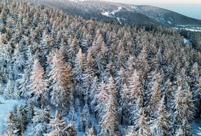 Vom meteorologischen Frühlingsanfang ist im Erzgebirge nichts zu spüren - Vom meteorologischer Frühlingsanfang ist in einigen Teilen Deutschlands rein gar nichts zu spüren. Foto: Bernd März