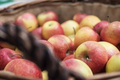 Von Boskoop bis Rubinette: Welcher Apfel taugt wofür? - Äpfel sind vielseitig: Ob für Apfelstrudel, Salate oder als frischer Snack - für jede Verwendung gibt es die passende Sorte.