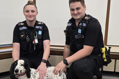 Vor acht Jahren gestohlen: Polizei findet Hund in England - Die Polizei wurde auf den Hund aufmerksam, als jemand die Microchip-Daten änderte.