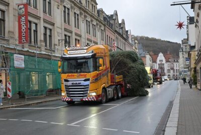 Vorfreude auf den Advent: Weihnachtsbäume für Aue-Bad Schlema aufgestellt - Der Weihnachtbaum für den Altmarkt in Aue ist mit dem LKW transportiert worden.