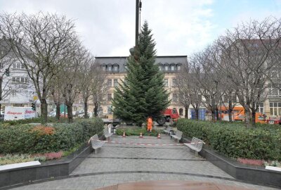 Vorfreude auf den Advent: Weihnachtsbäume für Aue-Bad Schlema aufgestellt - Auf dem Altmarkt in Aue ist der Weihnachtsbaum aufgestellt worden.