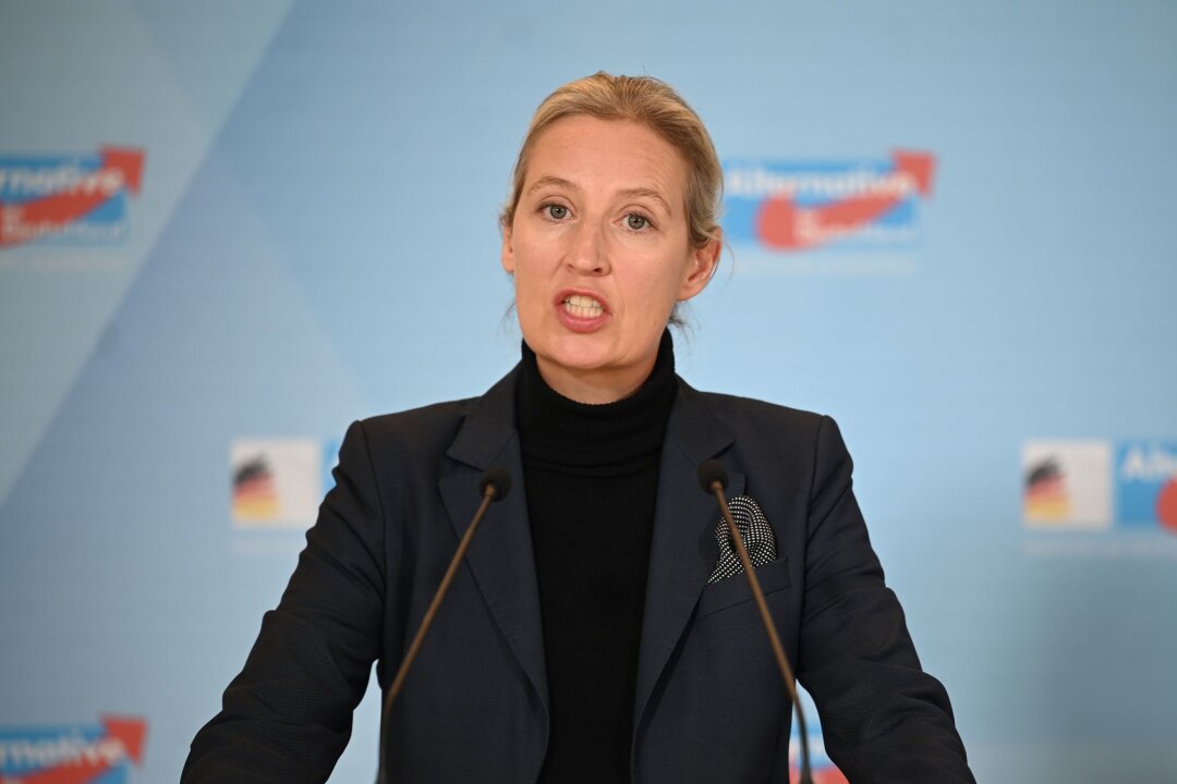 Vorgezogene Wahl verzögert Neubewertung der AfD - Die AfD wird aktuell als rechtsextremistischer Verdachtsfall vom Verfassungsschutz beobachtet. Alice Weidel will die Partei als Kanzlerkandidatin in den Bundestagswahlkampf führen. (Archivfoto)