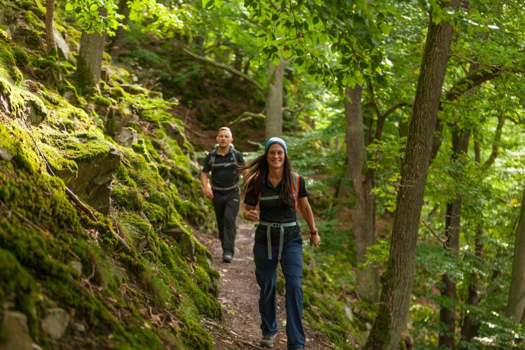 Wälder wie grüne Hallen: Auf dem Urwaldsteig in Hessen - Unterwegs auf dem Urwaldsteig am Edersee: An vielen Stellen führt der Weg durch ursprüngliche Natur.