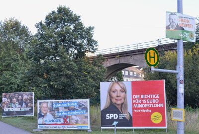 Wahlplakate in Sachsen: Nichtssagend, provokant und teilweise "deutlich drüber" - Diese Werbeplakate sind auf der Limbacher Kellerwiese zu sehen. Foto: Jürgen Sorge