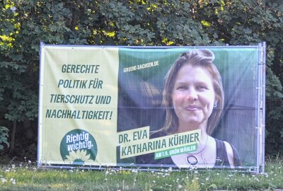 Wahlplakate in Sachsen: Nichtssagend, provokant und teilweise "deutlich drüber" - Recht harmlos wirkt dagegen dieses Wahlplakat an der Burgstädter Straße in Limbach-Oberfrohna. Foto: Jürgen Sorge