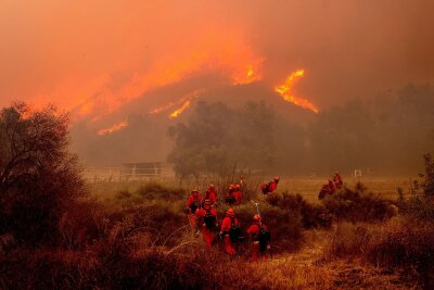 Waldbrand in Kalifornien zerstört zahlreiche Häuser - In der betroffenen Region gilt der Notstand.