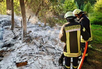 Waldbrand nahe B169: Vollsperrung während der Löscharbeiten - Eingreifen der Feuerwehr: Schnelles Handeln verhindert größere Schäden. Foto: Niko Mutschmann