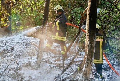 Waldbrand nahe B169: Vollsperrung während der Löscharbeiten - Eingreifen der Feuerwehr: Schnelles Handeln verhindert größere Schäden. Foto: Niko Mutschmann