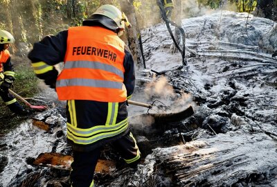 Waldbrand nahe B169: Vollsperrung während der Löscharbeiten - Eingreifen der Feuerwehr: Schnelles Handeln verhindert größere Schäden. Foto: Niko Mutschmann