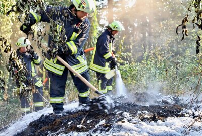 Waldbrand nahe B169: Vollsperrung während der Löscharbeiten - Eingreifen der Feuerwehr: Schnelles Handeln verhindert größere Schäden. Foto: Niko Mutschmann