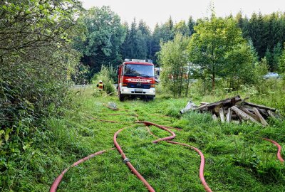 Waldbrand nahe B169: Vollsperrung während der Löscharbeiten - Eingreifen der Feuerwehr: Schnelles Handeln verhindert größere Schäden. Foto: Niko Mutschmann