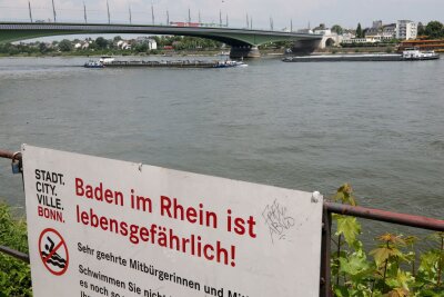 Warum das Schwimmen in Rhein und Co. so gefährlich ist - Mit einem Hinweisschild "Baden im Rhein ist lebensgefährlich" warnt die Stadt Bonn die Menschen vor den Gefahren beim Schwimmen im Rhein.