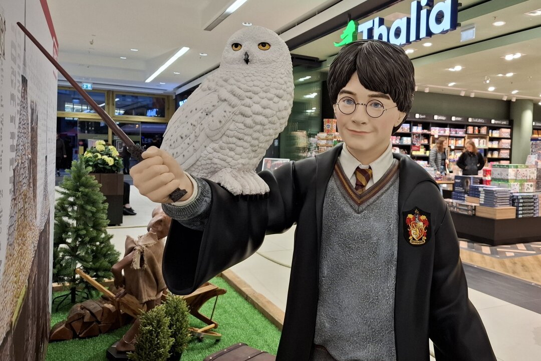 Warum Harry Potter und Dumbledore im Roten Turm zaubern - Harry Potter zaubert aktuell in der "Galerie Roter Turm" in Chemnitz.