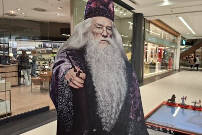 Warum Harry Potter und Dumbledore im Roten Turm zaubern - Auch Hogwarts-Schulleiter Albus Dumbledore ist dabei.