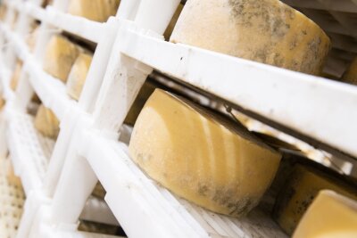 Was einen guten Käse auszeichnet – und woran Sie ihn erkennen - Käse ist ein Naturprodukt, deshalb ist es schwer, immer den gleichen Geschmack zu erzeugen.