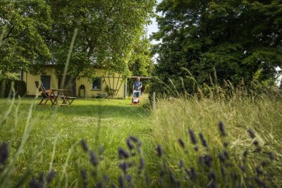 Was Ihr Garten im Sommer braucht - Weniger Rasenmähen im Sommer fördert die Bodengesundheit.