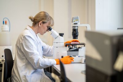 Was machen eigentlich Toxikologen? - Nina Hambruch sitzt bei ihrer Arbeit als Toxikologin bei BASF in Ludwigshafen häufig am Mikroskop.