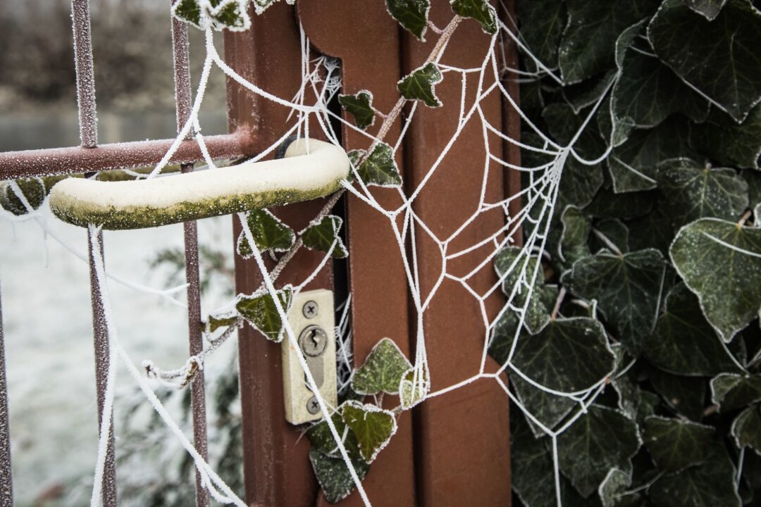 Was Sie im Winter für den Garten tun können - Auch im Winter gibt es genug zu tun, um den Garten in Schuss zu halten und sich auf die nächste Gartensaison vorzubereiten.