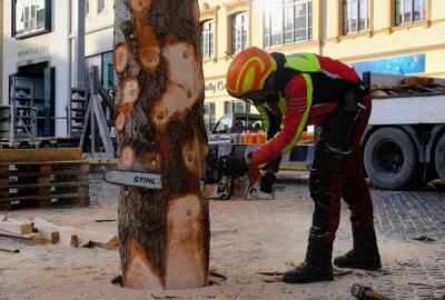 Weihnachtsbaum wird auf Leipziger Marktplatz aufgestellt - Der Weihnachtsbaum wird in Leipzig aufgestellt. Foto: Christian Grube/Archeopix