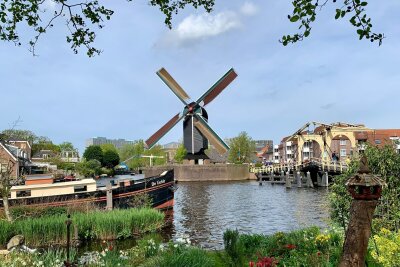 Wie die Tulpe nach Holland kam: zu Besuch in Leiden - Natürlich dürfen Windmühlen auch in Leiden nicht fehlen - man ist schließlich in den Niederlanden.