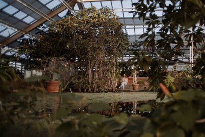 Wie die Tulpe nach Holland kam: zu Besuch in Leiden - Kleinod mitten in der Stadt: Der Botanische Garten liegt im historischen Zentrum Leidens.