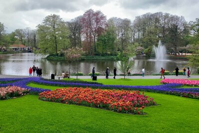 Wie die Tulpe nach Holland kam: zu Besuch in Leiden - Die Tulpe steht für Holland wie die Windmühle oder der Käse: Besonders prachtvoll in Szene gesetzt wird sie jedes Jahr im Keukenhof, nördlich von Leiden.