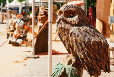 Wie ein Kettensäge-Event dem Tourismus im Erzgebirge hilft - Eine Eule wacht über den Gelenauer Festplatz. Foto: Andreas Bauer