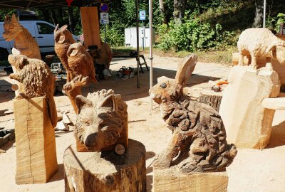 Wie ein Kettensäge-Event dem Tourismus im Erzgebirge hilft - Zahlreiche kleinere Figuren entstanden beim Speedcarving binnen 45 Minuten. Foto: Andreas Bauer