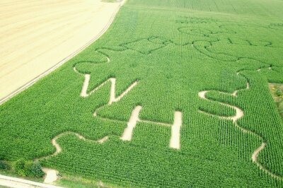 Wie ein Maislabyrinth in Chemnitz entsteht: High-Tech Landwirtschaft trifft Feuerwehr - Die Legemaschine legt die Maiskörner nur dort ab, wo später Mais wachsen soll.