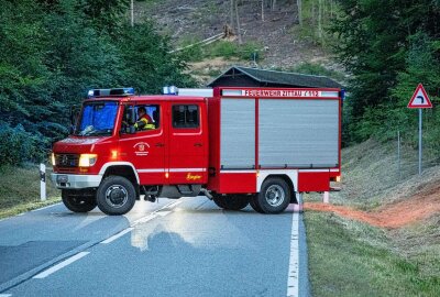 Wild-Crash auf sächsischer Staatsstraße: Biker mit Rettungshubschrauber in Klinik geflogen - Der Kradfahrer kollidierte bei voller Fahrt mit dem Wildtier. Foto:  xcitepress