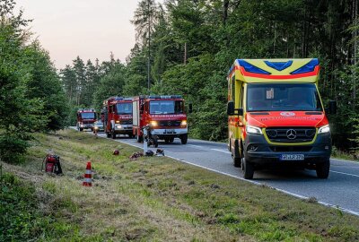 Wild-Crash auf sächsischer Staatsstraße: Biker mit Rettungshubschrauber in Klinik geflogen - Der Kradfahrer kollidierte bei voller Fahrt mit dem Wildtier. Foto:  xcitepress