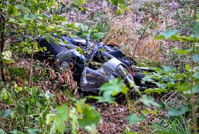 Wild-Crash auf sächsischer Staatsstraße: Biker mit Rettungshubschrauber in Klinik geflogen - Der Kradfahrer kollidierte bei voller Fahrt mit dem Wildtier. Foto: xcitepress