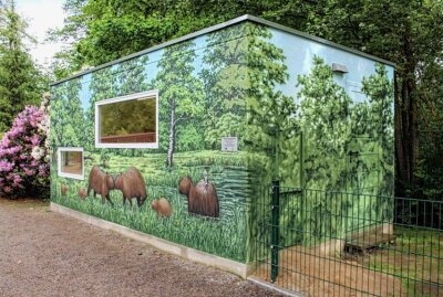 Willkommen im Inkaland: Feierliche Eröffnung in Limbach-Oberfrohna - Am heutigen Tag hat der Tierpark-Förderverein der Stadt auch das neue Capybara-Haus offiziell übergeben. Foto: A.Büchner