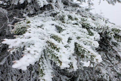 Winterauftakt im Erzgebirge: Schnee auf Fichtelberg und Winterdienst im Einsatz - Auch die letzten Autos sollten nun mit Winterreifen bestückt werden. 