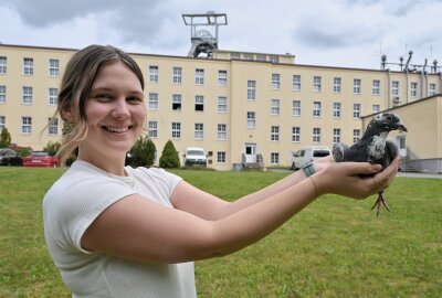 Wismut-Schacht 371: Rundgang und Einblicke in die Sanierungsarbeiten - Julia Mittelbach vom Brieftaubenzuchtverein Zwönitz "Gut Flug" mit einer der Tauben, die aufgestiegen sind. Foto: Ralf Wendland