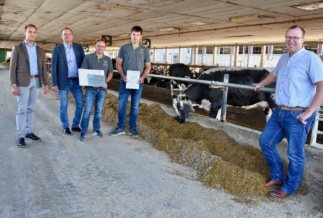 Wo es Kühen richtig gut geht: Wirtschaftshof in Limbach ausgezeichnet - Der Wirtschaftshof on Bräunsdorf wurde kürzlich ausgezeichnet. Foto: Steffi Hofmann